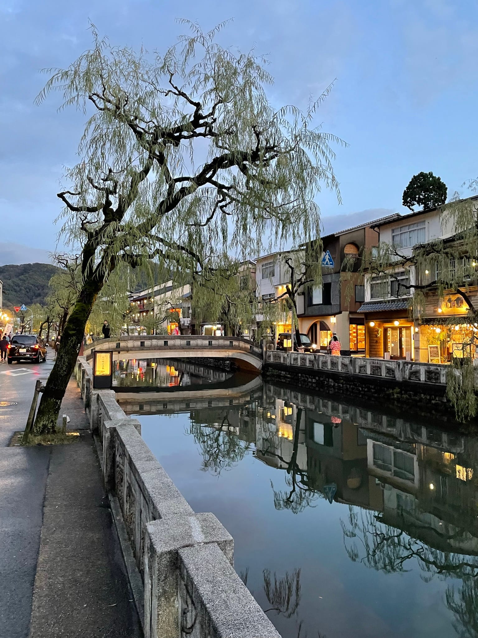 柳湯門口的柳樹