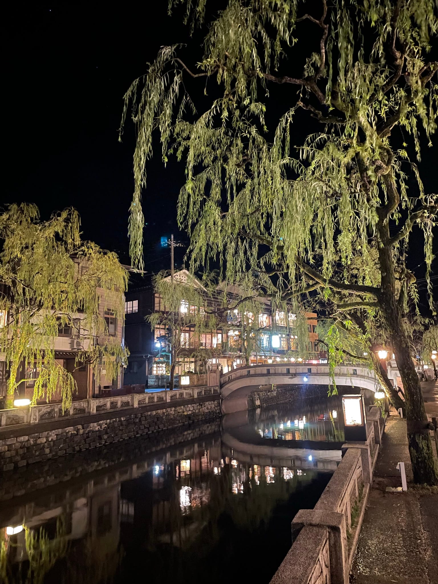 城崎溫泉夜晚打燈後，搭配溪流與垂流，變得很有意境