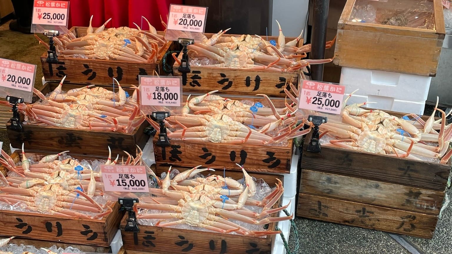 城崎溫泉路邊的魚市場，秋葉蟹腳都綁著藍標認證，代表很新鮮