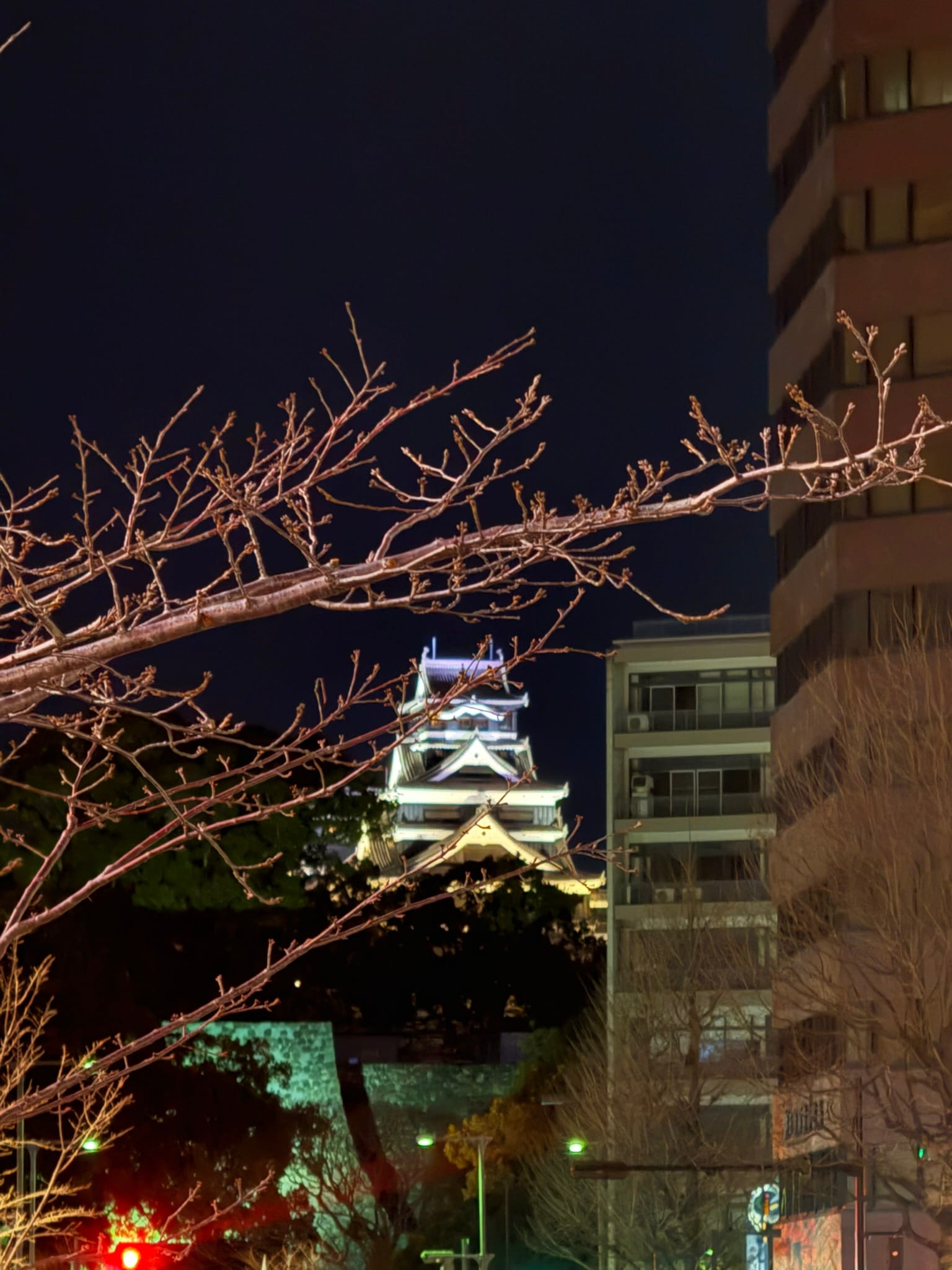 熊本城晚上會打燈