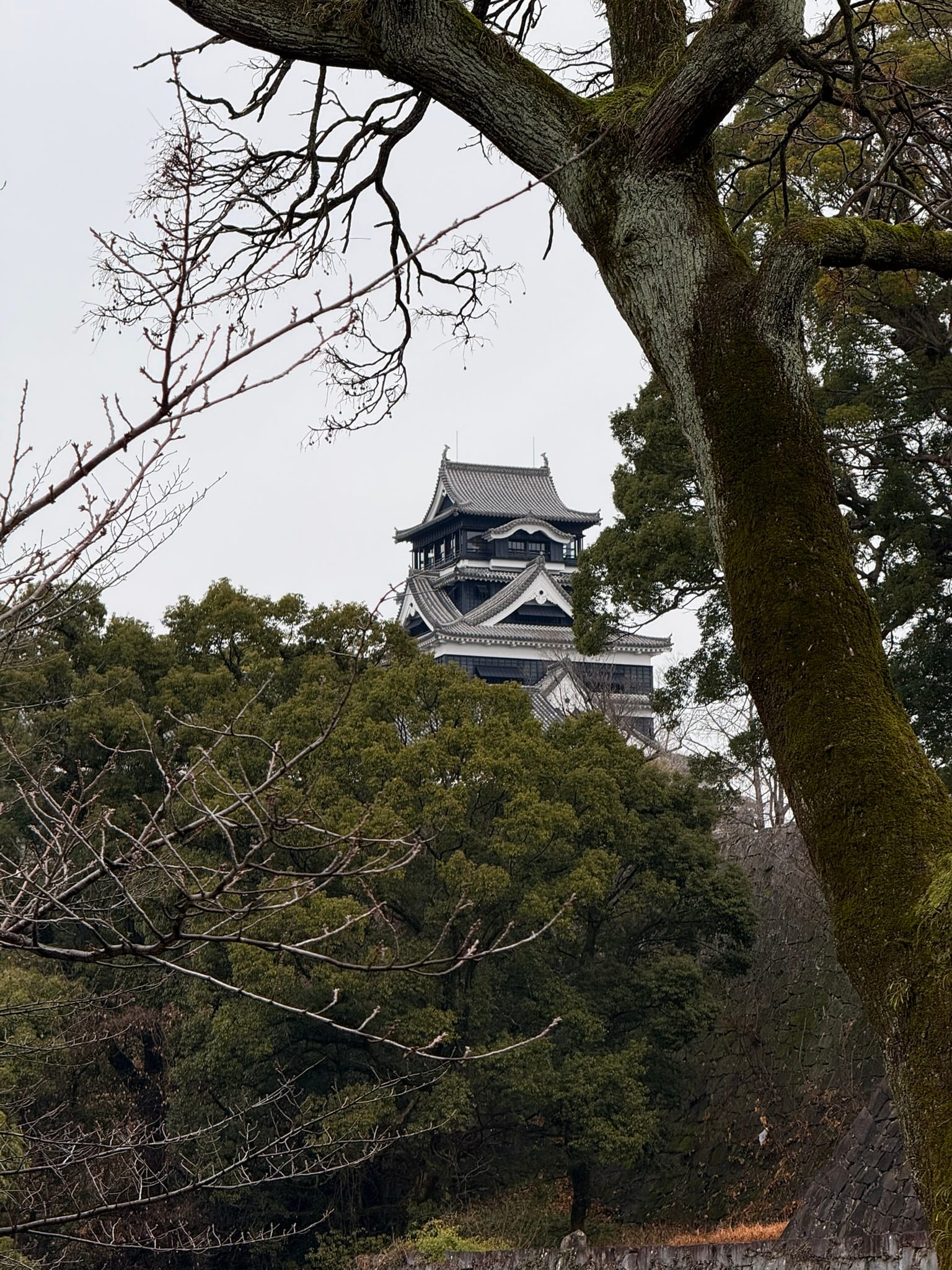 熊本城的顏色是以黑色為主